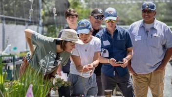 AIR Team member Johanna del Castillo examining a plant for root rot symptoms while surrounded by a group of onlookers 