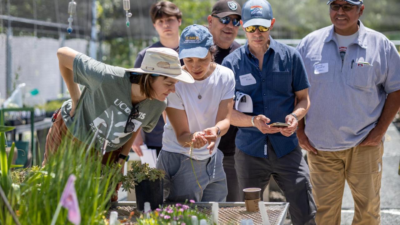 AIR Team member Johanna del Castillo examining a plant for root rot symptoms while surrounded by a group of onlookers 