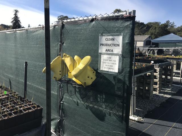Entrance to a clean production area with yellow boots hanging and a reminder to sanitize before entry