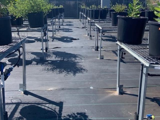 benches cropped