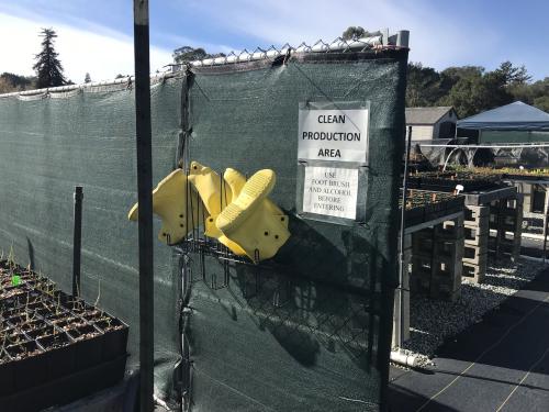 Entrance to a clean production area with yellow boots hanging and a reminder to sanitize before entry
