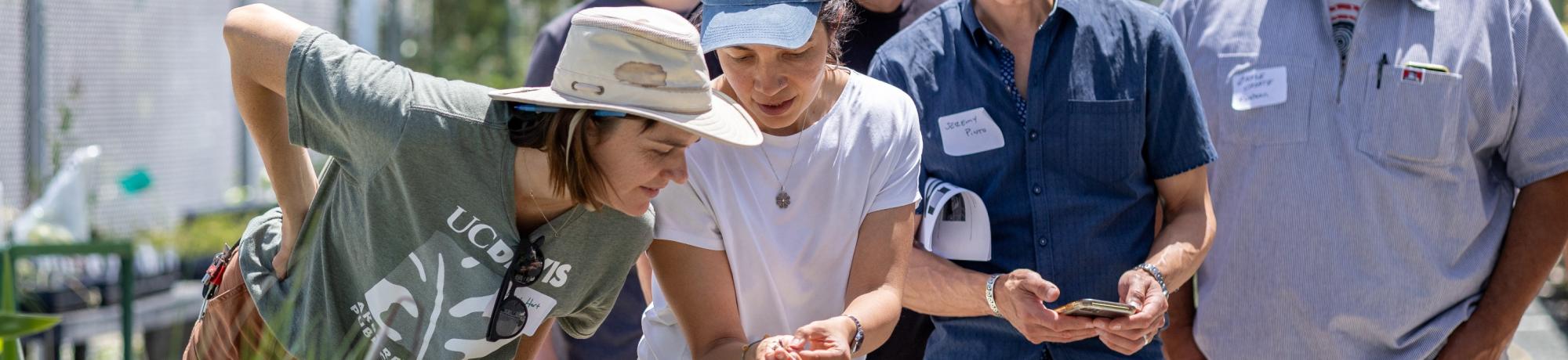 AIR Team member Johanna del Castillo examining a plant for root rot symptoms while surrounded by a group of onlookers 